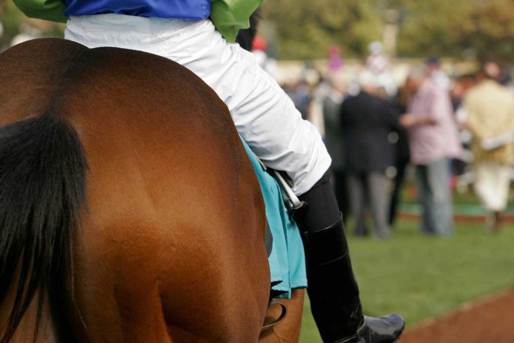 WaterStep - Kentucky Derby Raffle - Header